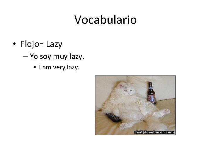 Vocabulario • Flojo= Lazy – Yo soy muy lazy. • I am very lazy.