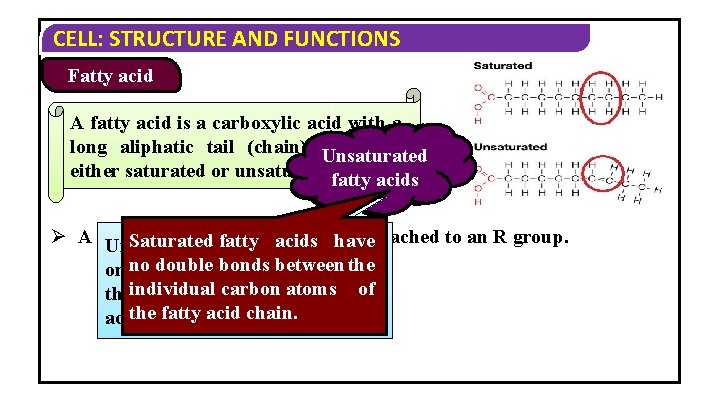 CELL: STRUCTURE AND FUNCTIONS Fatty acid A fatty acid is a carboxylic acid with CELL: STRUCTURE AND FUNCTIONS Fatty acid A fatty acid is a carboxylic acid with