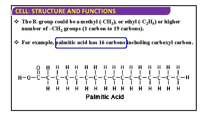 CELL: STRUCTURE AND FUNCTIONS v The R-group could be a methyl (-CH 3), or CELL: STRUCTURE AND FUNCTIONS v The R-group could be a methyl (-CH 3), or