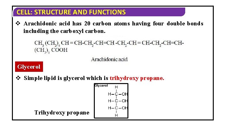 CELL: STRUCTURE AND FUNCTIONS v Arachidonic acid has 20 carbon atoms having four double CELL: STRUCTURE AND FUNCTIONS v Arachidonic acid has 20 carbon atoms having four double