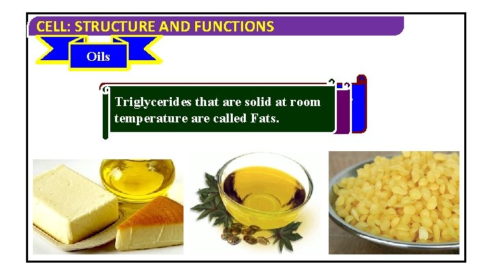 CELL: STRUCTURE AND FUNCTIONS Waxes Oils Fats A wax is a simple lipid which CELL: STRUCTURE AND FUNCTIONS Waxes Oils Fats A wax is a simple lipid which