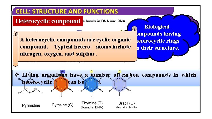 CELL: STRUCTURE AND FUNCTIONS Heterocyclic compound Heterocyclic Biological compounds having A heterocyclic compounds are CELL: STRUCTURE AND FUNCTIONS Heterocyclic compound Heterocyclic Biological compounds having A heterocyclic compounds are