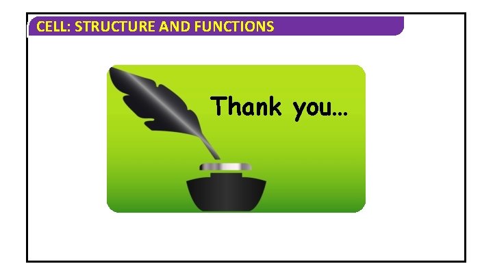 CELL: STRUCTURE AND FUNCTIONS Thank you… CELL: STRUCTURE AND FUNCTIONS Thank you…