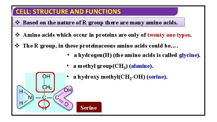 CELL: STRUCTURE AND FUNCTIONS v Based on the nature of R group there are CELL: STRUCTURE AND FUNCTIONS v Based on the nature of R group there are