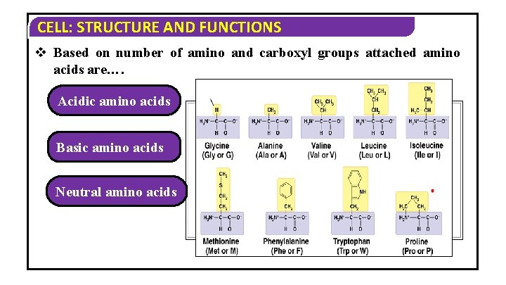 CELL: STRUCTURE AND FUNCTIONS v Based on number of amino and carboxyl groups attached CELL: STRUCTURE AND FUNCTIONS v Based on number of amino and carboxyl groups attached