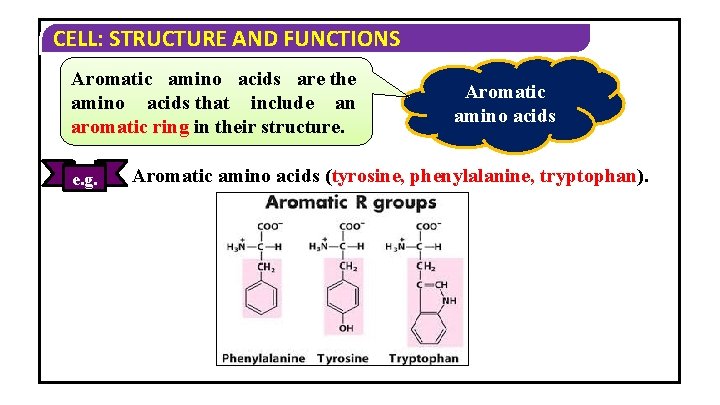 CELL: STRUCTURE AND FUNCTIONS Aromatic amino acids are the amino acids that include an CELL: STRUCTURE AND FUNCTIONS Aromatic amino acids are the amino acids that include an