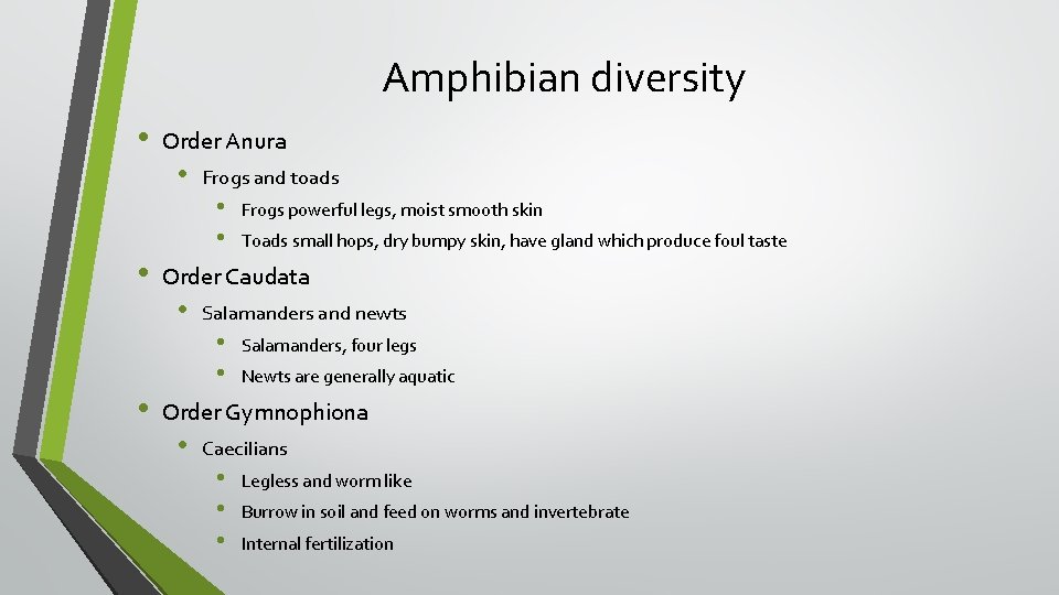 Amphibian diversity • • • Order Anura • Frogs and toads • • Frogs