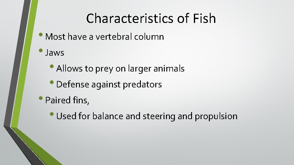 Characteristics of Fish • Most have a vertebral column • Jaws • Allows to