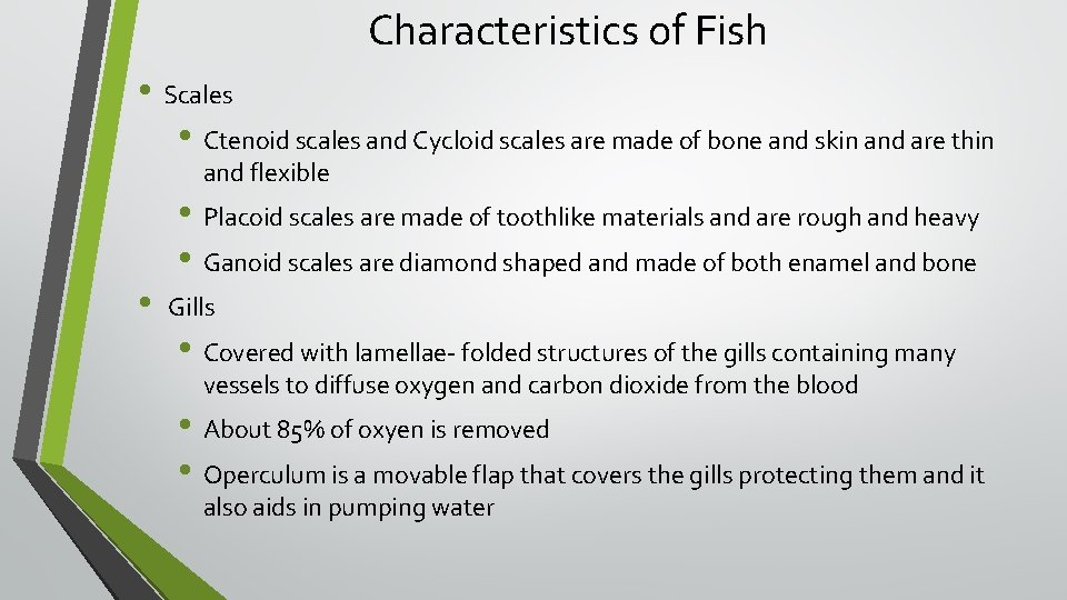 Characteristics of Fish • Scales • Ctenoid scales and Cycloid scales are made of
