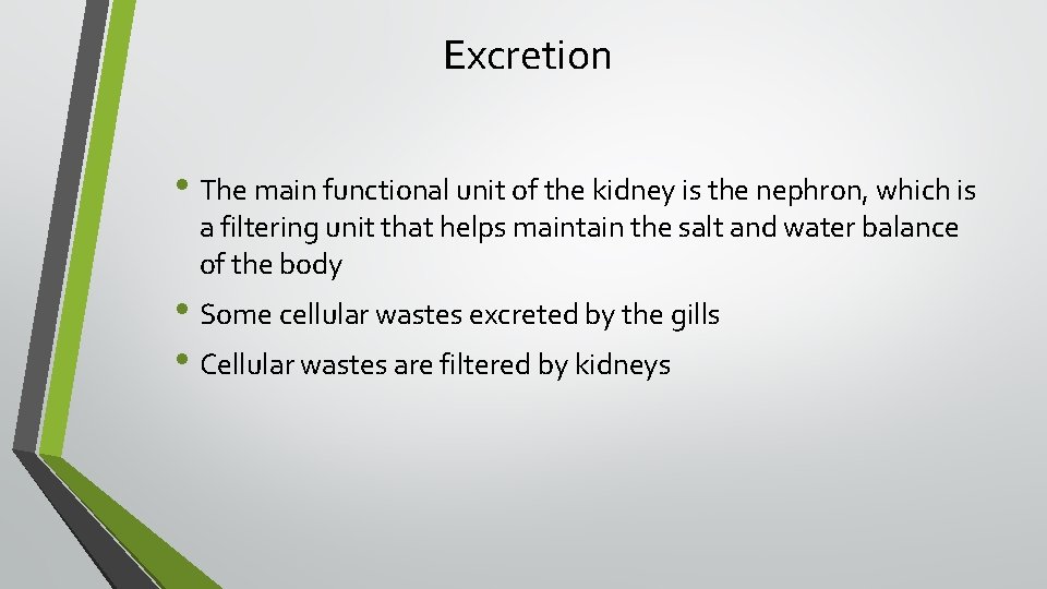 Excretion • The main functional unit of the kidney is the nephron, which is