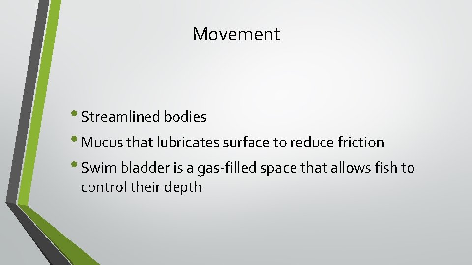 Movement • Streamlined bodies • Mucus that lubricates surface to reduce friction • Swim