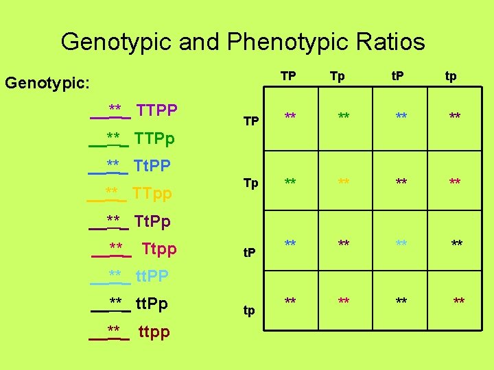 Genotypic and Phenotypic Ratios TP Genotypic: __**_ TTPP Tp t. P tp TP **