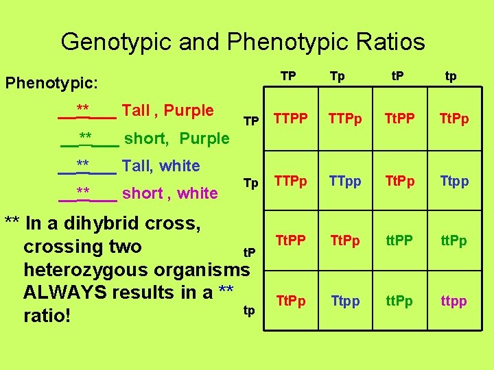 Genotypic and Phenotypic Ratios TP Phenotypic: __**___ Tall , Purple Tp t. P tp