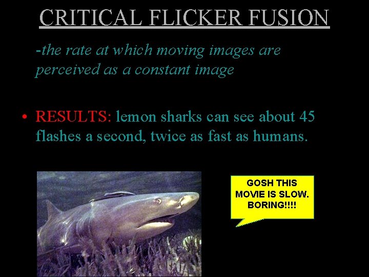 CRITICAL FLICKER FUSION -the rate at which moving images are perceived as a constant
