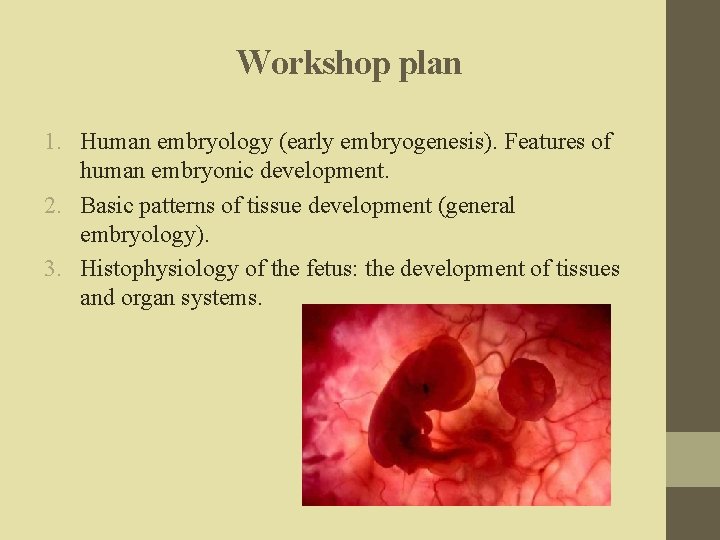 Workshop plan 1. Human embryology (early embryogenesis). Features of human embryonic development. 2. Basic