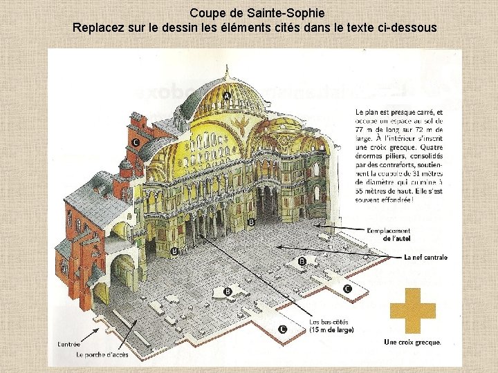 Coupe de Sainte-Sophie Replacez sur le dessin les éléments cités dans le texte ci-dessous