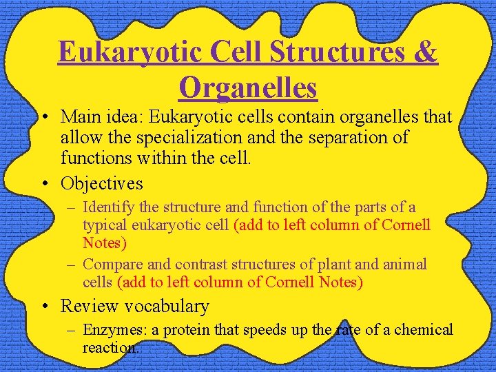 Eukaryotic Cell Structures & Organelles • Main idea: Eukaryotic cells contain organelles that allow