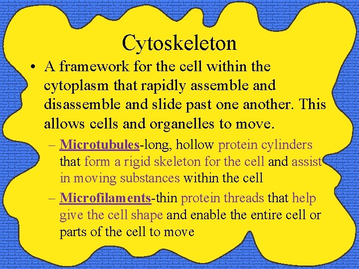Cytoskeleton • A framework for the cell within the cytoplasm that rapidly assemble and