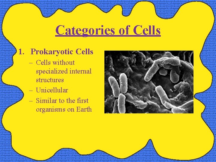 Categories of Cells 1. Prokaryotic Cells – Cells without specialized internal structures – Unicellular