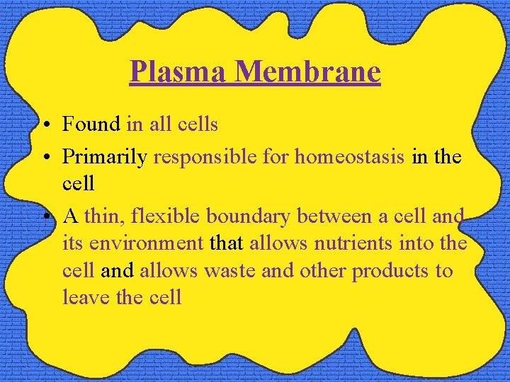 Plasma Membrane • Found in all cells • Primarily responsible for homeostasis in the