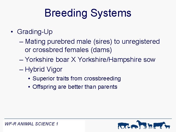 Breeding Systems • Grading-Up – Mating purebred male (sires) to unregistered or crossbred females