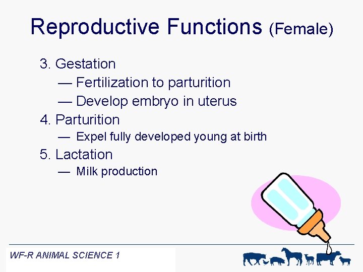 Reproductive Functions (Female) 3. Gestation — Fertilization to parturition — Develop embryo in uterus