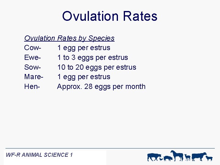 Ovulation Rates by Species Cow 1 egg per estrus Ewe 1 to 3 eggs