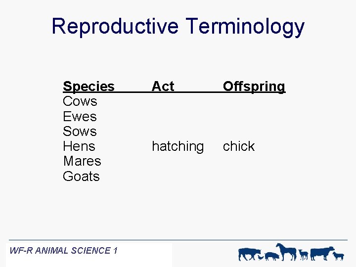 Reproductive Terminology Species Cows Ewes Sows Hens Mares Goats WF-R ANIMAL SCIENCE 1 Act