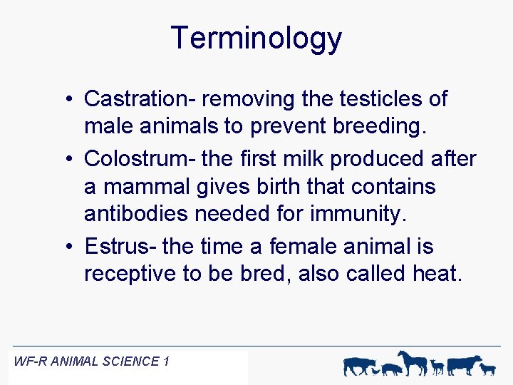 Terminology • Castration- removing the testicles of male animals to prevent breeding. • Colostrum-