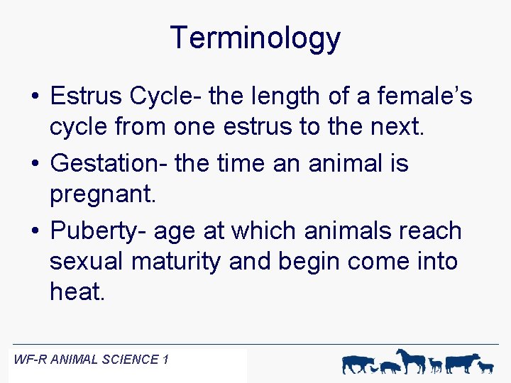 Terminology • Estrus Cycle- the length of a female’s cycle from one estrus to