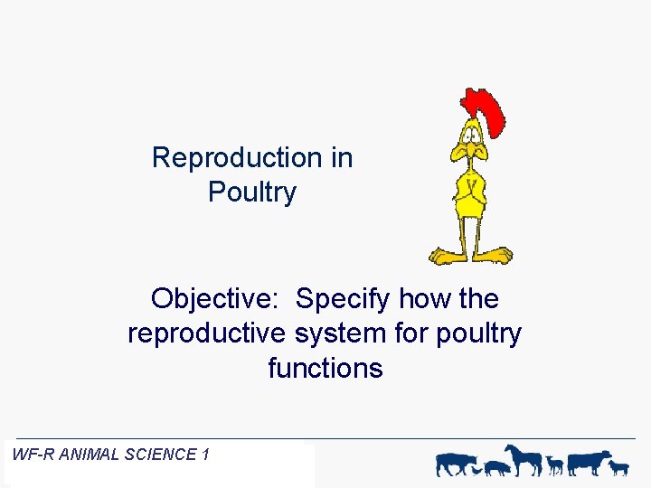 Reproduction in Poultry Objective: Specify how the reproductive system for poultry functions WF-RANIMALSCIENCE 11