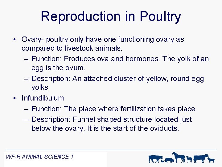 Reproduction in Poultry • Ovary- poultry only have one functioning ovary as compared to