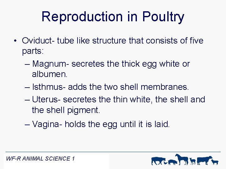 Reproduction in Poultry • Oviduct- tube like structure that consists of five parts: –