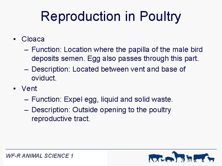Reproduction in Poultry • Cloaca – Function: Location where the papilla of the male