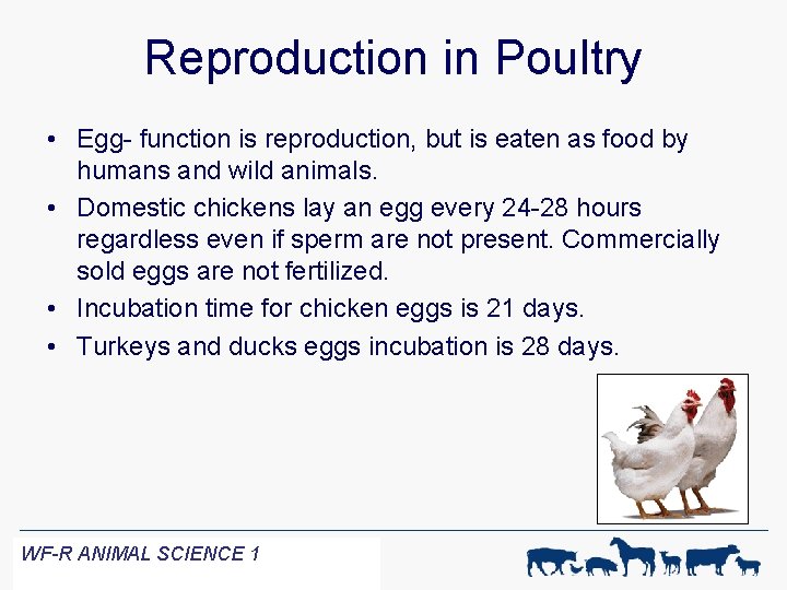 Reproduction in Poultry • Egg- function is reproduction, but is eaten as food by