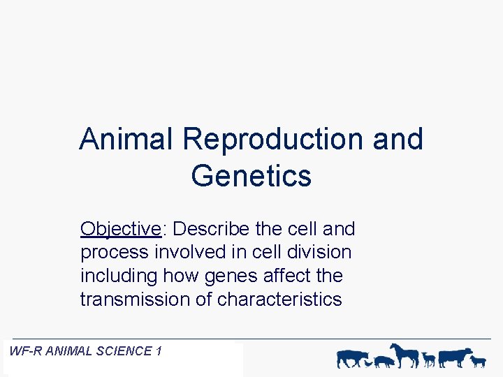 Animal Reproduction and Genetics Objective: Describe the cell and process involved in cell division