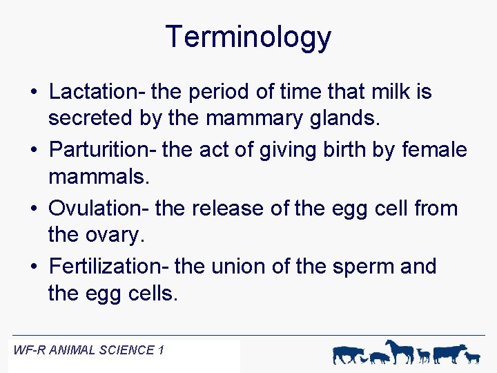 Terminology • Lactation- the period of time that milk is secreted by the mammary