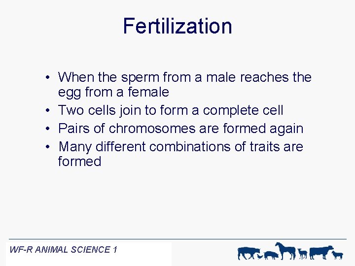 Fertilization • When the sperm from a male reaches the egg from a female