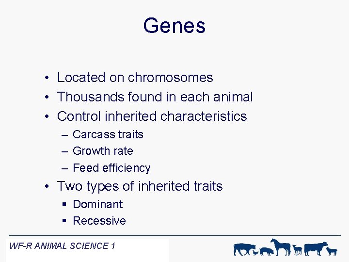 Genes • Located on chromosomes • Thousands found in each animal • Control inherited