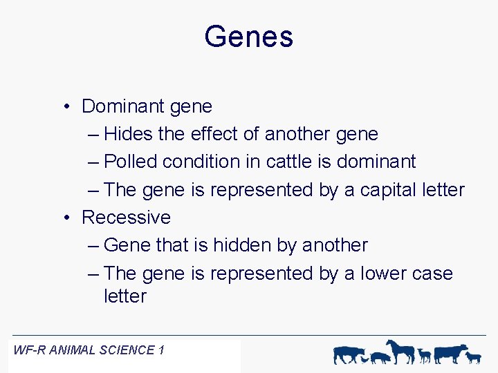 Genes • Dominant gene – Hides the effect of another gene – Polled condition