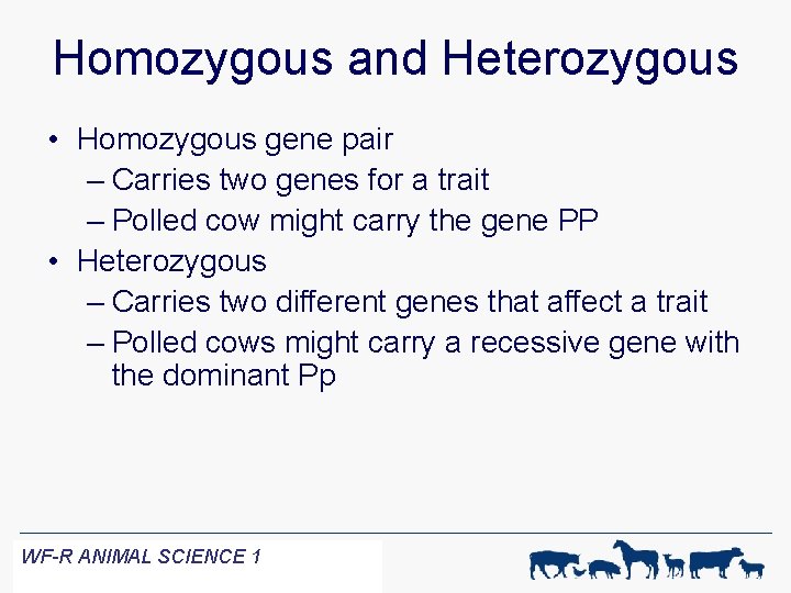Homozygous and Heterozygous • Homozygous gene pair – Carries two genes for a trait