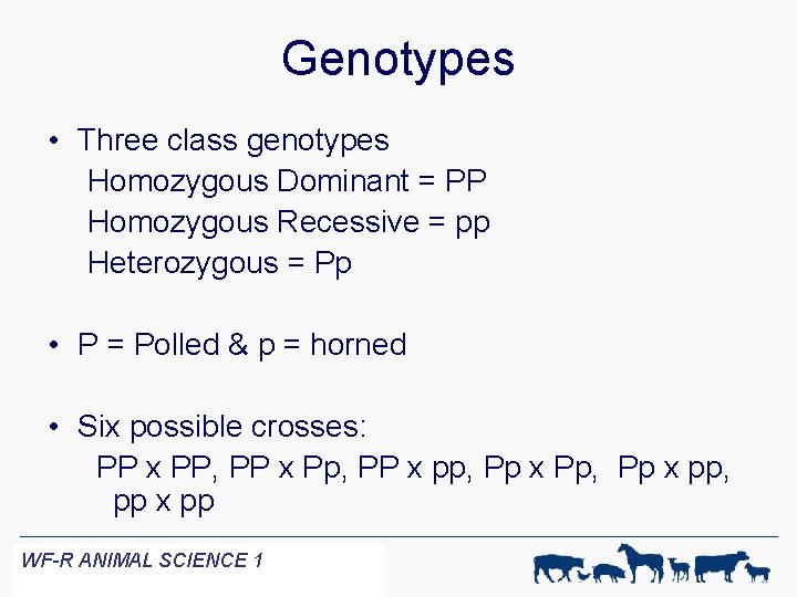 Genotypes • Three class genotypes Homozygous Dominant = PP Homozygous Recessive = pp Heterozygous