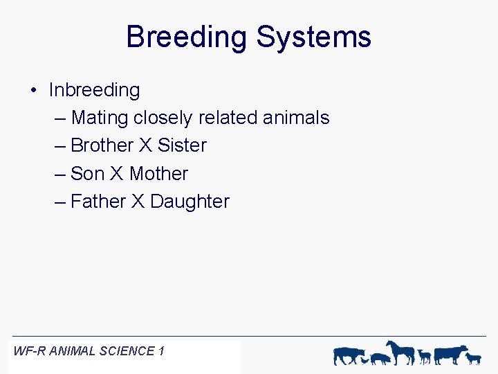 Breeding Systems • Inbreeding – Mating closely related animals – Brother X Sister –