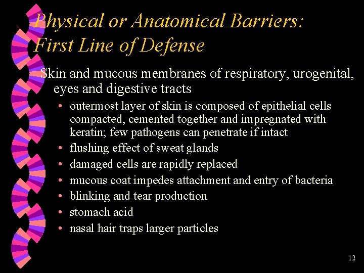 Physical or Anatomical Barriers: First Line of Defense Skin and mucous membranes of respiratory,
