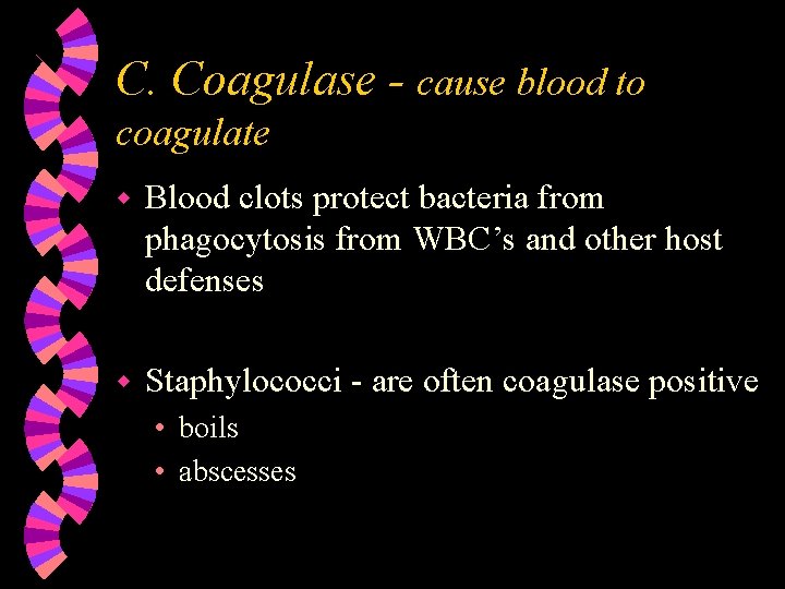 C. Coagulase - cause blood to coagulate w Blood clots protect bacteria from phagocytosis