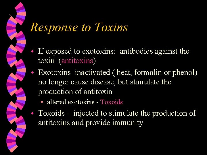 Response to Toxins If exposed to exotoxins: antibodies against the toxin (antitoxins) w Exotoxins