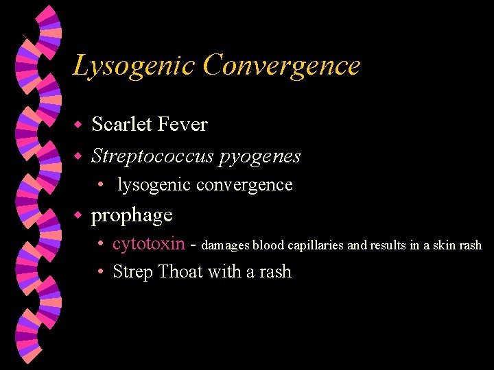 Lysogenic Convergence Scarlet Fever w Streptococcus pyogenes w • lysogenic convergence w prophage •