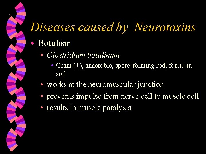 Diseases caused by Neurotoxins w Botulism • Clostridium botulinum • Gram (+), anaerobic, spore-forming