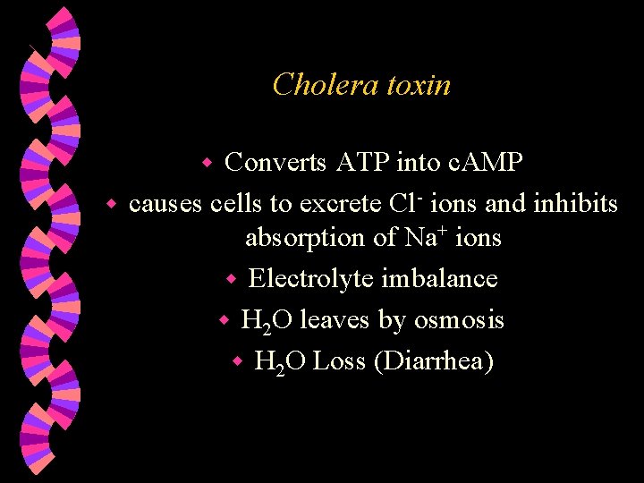 Cholera toxin Converts ATP into c. AMP w causes cells to excrete Cl- ions