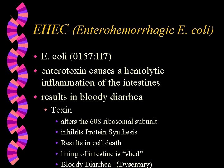 EHEC (Enterohemorrhagic E. coli) E. coli (0157: H 7) w enterotoxin causes a hemolytic